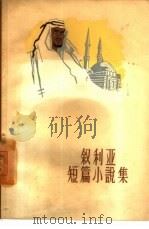 叙利亚短篇小说集（1959 PDF版）