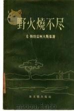 野火烧不尽（1956 PDF版）
