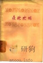 森林炊烟  散文特写集（1958 PDF版）