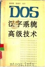 DOS汉字系统高级技术（1994 PDF版）