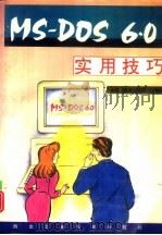 MS-DOS 6.0实用技巧（1994 PDF版）