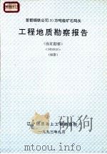 首都钢铁公司20万吨级矿石码头 工程地质勘察报告 (选址勘察) H9309 (相册) 1993年09月 PDF电子版封面 辽宁地质海上工程勘察院