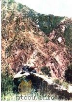 天山托木尔峰地区的地质与古生物（1985 PDF版）