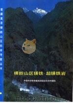 横断山区镁铁-超镁铁岩（1992 PDF版）