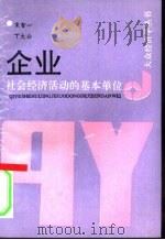 企业 社会经济活动的基本单位 1990 PDF电子版封面 7541917559 宋智一,丁大公编著