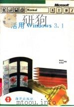 活用Windows 3.1（1993 PDF版）
