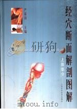 经穴断面解剖图解  上肢部分（1993 PDF版）