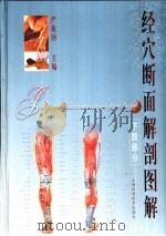 经穴断面解剖图解  下肢部分（1986 PDF版）
