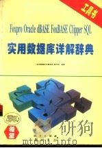 实用数据库详解辞典（1995 PDF版）