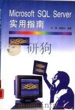 Microsoft SQL Server实用指南（1997 PDF版）