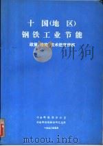 十国  地区  钢铁工业节能  政策、措施、技术经济指标（1990 PDF版）