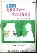 IBM电脑常用软件实践操作指导（1993 PDF版）