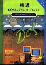 精通DOS6.2/6.21/6.22（1995 PDF版）