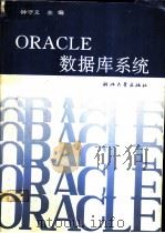 ORACLE数据库系统（ PDF版）