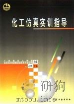 化工仿真实训指导（1999 PDF版）