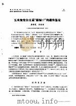 玉米突变自交系“原辐17”的遗传鉴定（ PDF版）