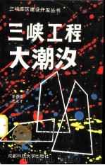 三峡工程大潮汐（1993 PDF版）