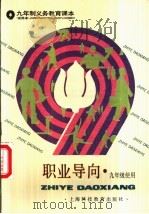 职业导向 九年级使用 1996 PDF电子版封面 7542805851 上海中小学课程教材改革委员会