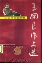 王国臣作品选  小说报告文学卷（1994 PDF版）