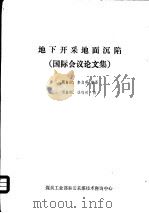 地下开采地面沉陷  国际会议论文集（ PDF版）