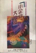 小企业大战略  安徽小企业改革与发展研究报告文集（1999 PDF版）