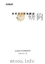 电子产品出口战略研究系列报告  世界通信市场概况（1989 PDF版）