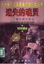 迷失的魂灵  湖北荆沙特大抢劫团伙案侦破纪实（1998 PDF版）