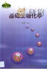基础生物化学（1999 PDF版）