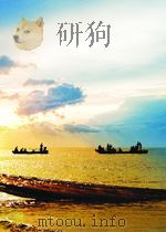独立审计准则全书（1999 PDF版）