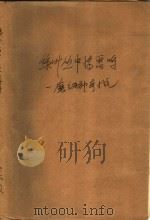 绿叶丛中惊雷鸣  魔幻神奇小说（1993 PDF版）