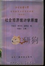 社会经济统计学原理（1987 PDF版）
