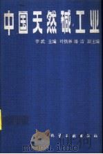 中国天然碱工业 1994 PDF电子版封面 750251368X 李武主编
