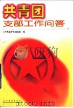 共青团支部工作问答（1999 PDF版）