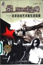20世纪最后的浪漫 北京自由艺术家生活实录 1999 PDF电子版封面 7531711184 汪继芳著
