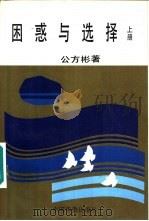 困惑与选择  上（1991 PDF版）