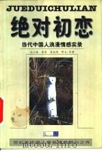 绝对初恋  当代中国人浪漫情感实录（1999 PDF版）