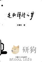 走向辉煌之梦（1994 PDF版）