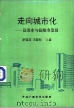 走向城市化  县改市与县级市发展（1991 PDF版）