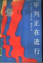 审判正在进行（1988 PDF版）