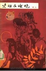 火炬在燃烧（1984 PDF版）