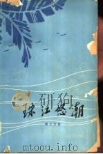珠江怒潮  革命回忆录（1961 PDF版）