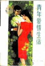 青年爱情生活（1986 PDF版）