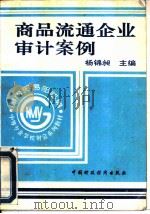 商品流通企业审计案例（1994 PDF版）