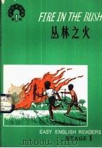 丛林之火（1980 PDF版）