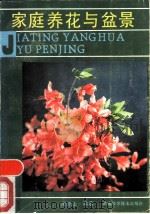 家庭养花与盆景（1989 PDF版）