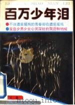 百万少年泪（1993 PDF版）