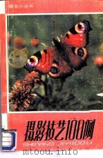摄影技艺100例（1987 PDF版）