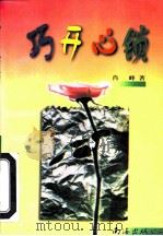 巧开心锁（1997 PDF版）