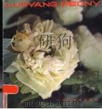 洛阳牡丹（1986 PDF版）