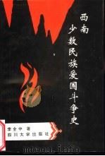 西南少数民族爱国斗争史（1995 PDF版）